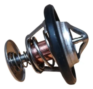 Termostato Dfsk C31 C32 C35 K01h